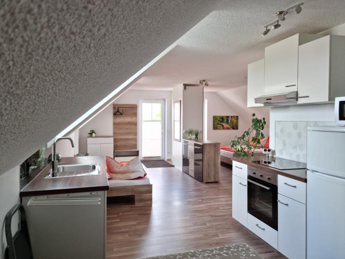 Braun Apartment Echlishausen
